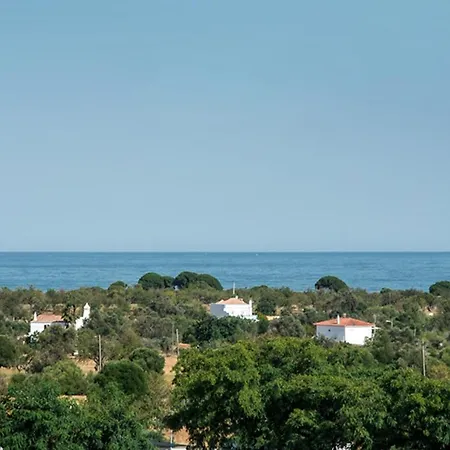 Apartment Markus Tavira